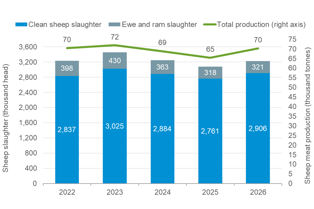 Combined chart showing sheep meat slaughter and production